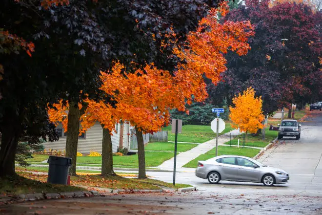 Las hojas dejan sus colores vibrantes en N. 6th Street en Waldo Boulevard, el miércoles 25 de octubre de 2023, en Manitowoc, Wisconsin.